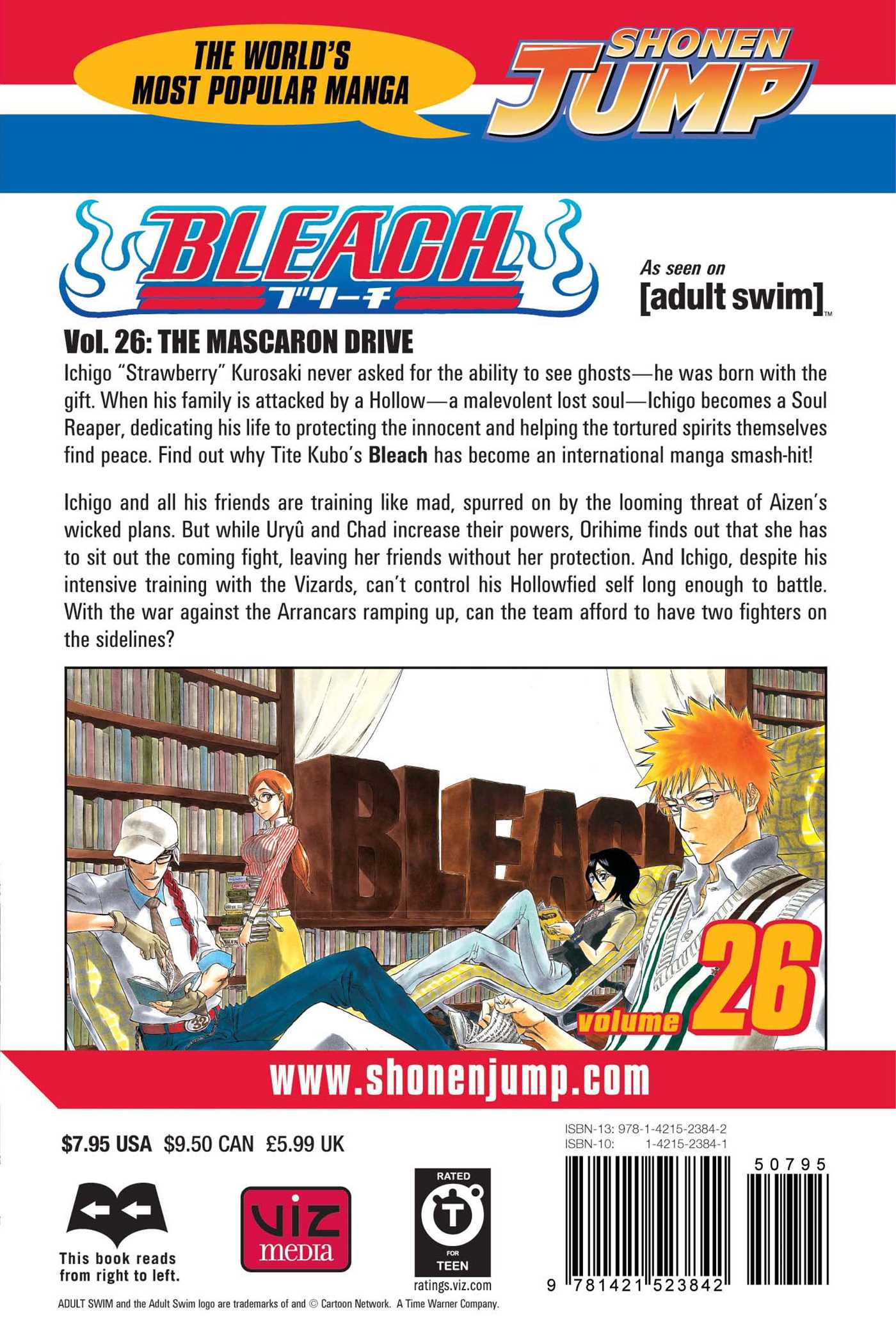 Bleach, Vol.26
