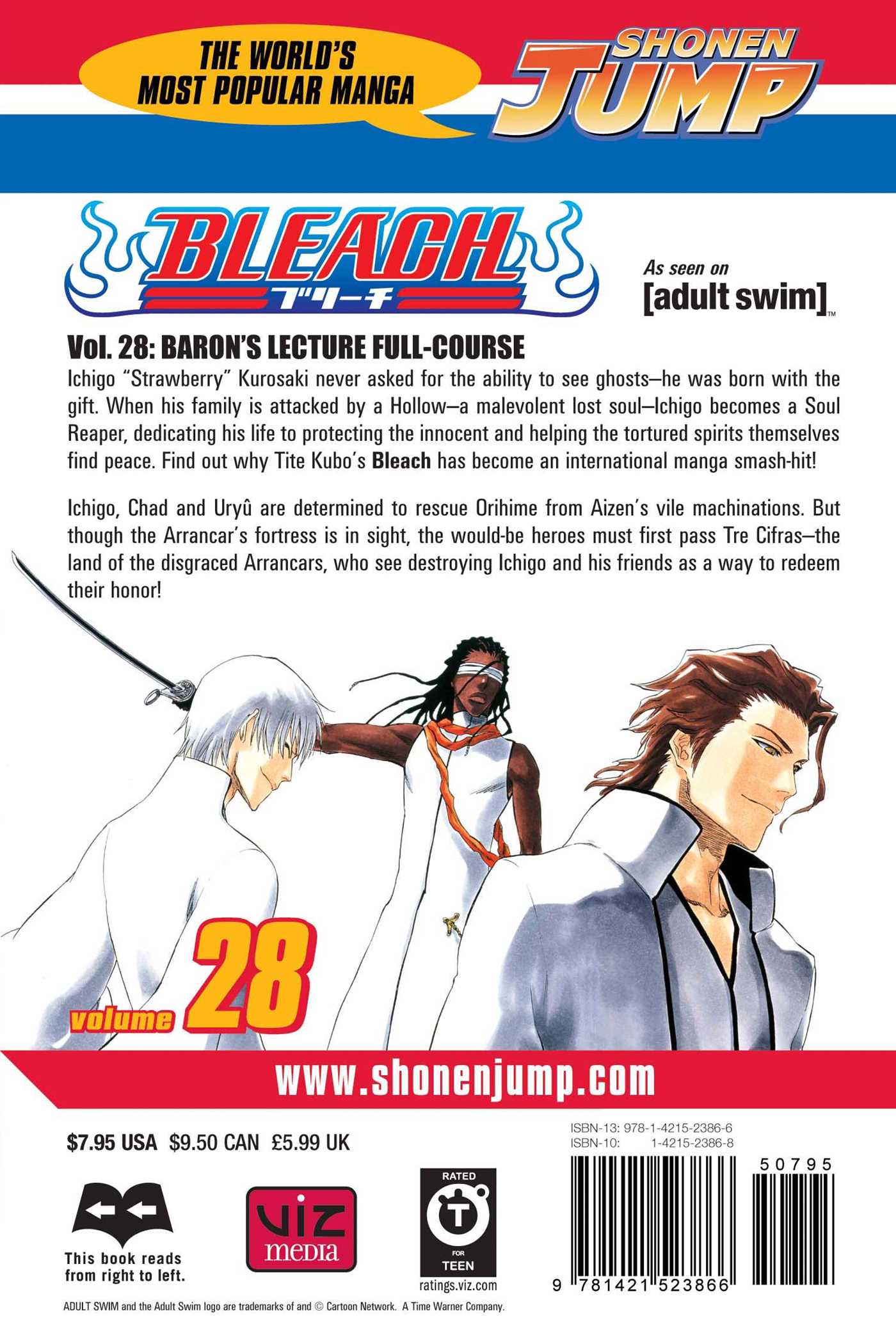 Bleach, Vol.28