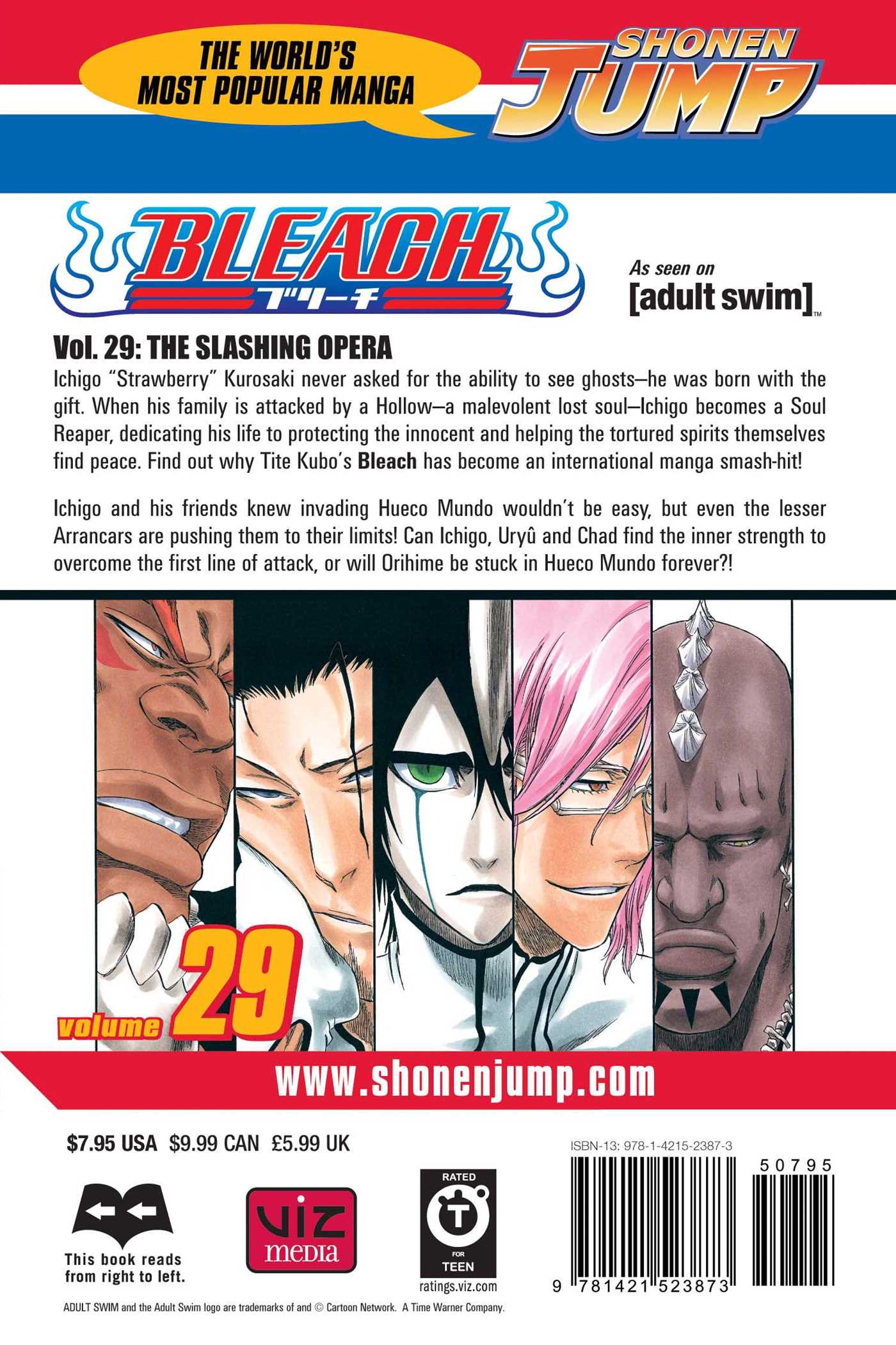 Bleach, Vol.29