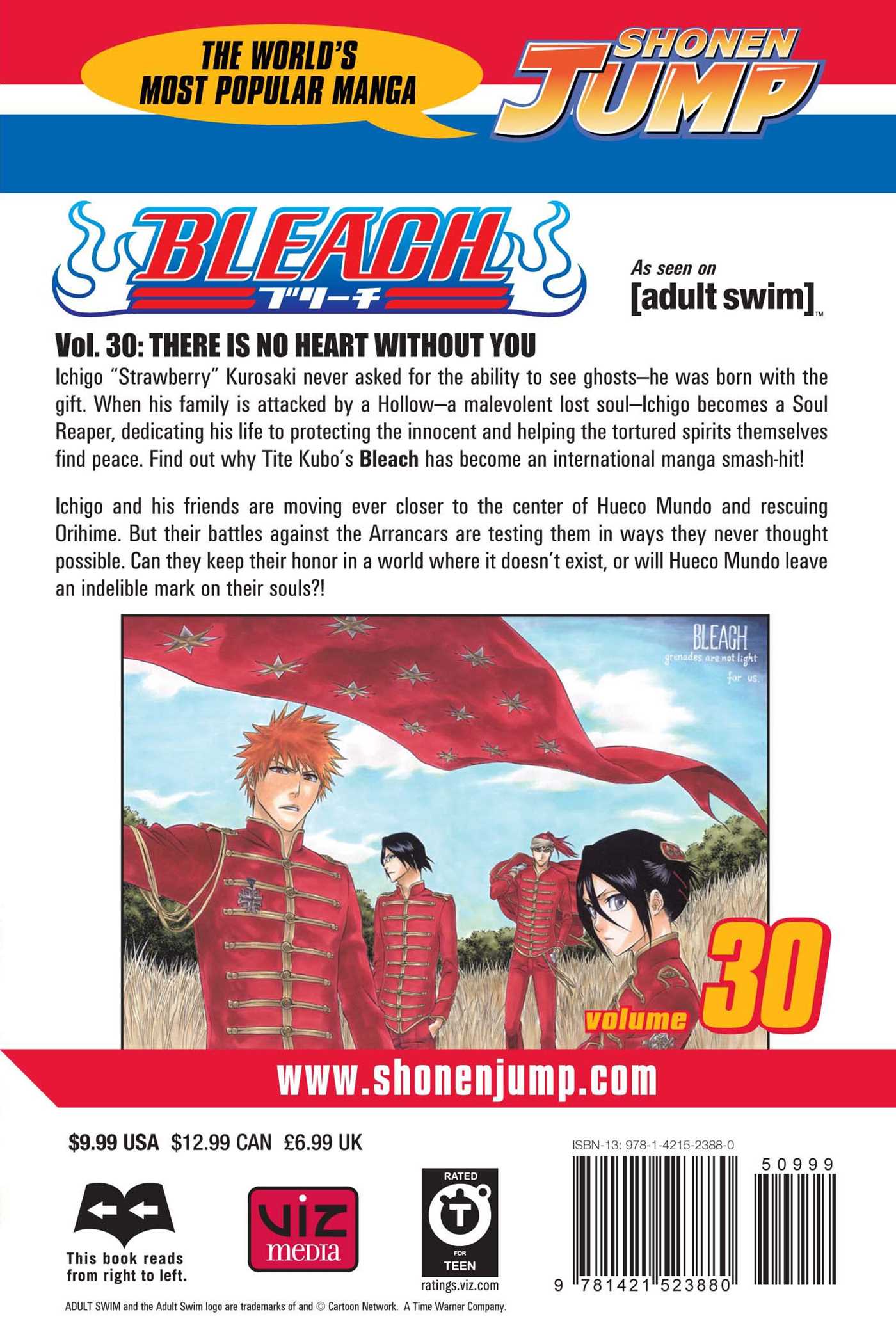 Bleach, Vol.30