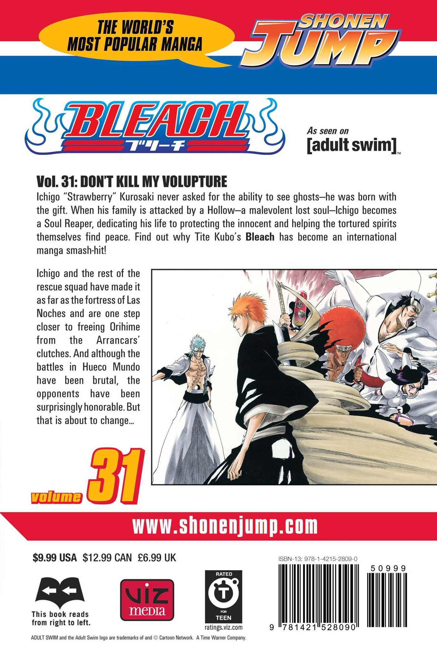 Bleach, Vol.31