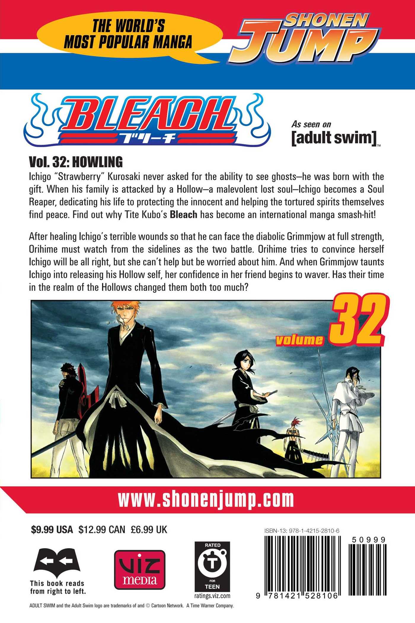 Bleach, Vol.32