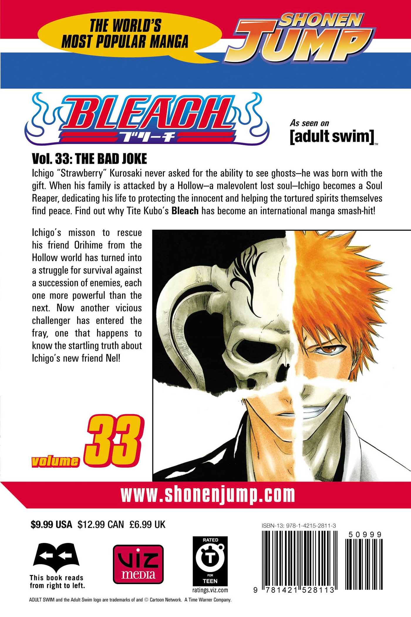 Bleach, Vol.33