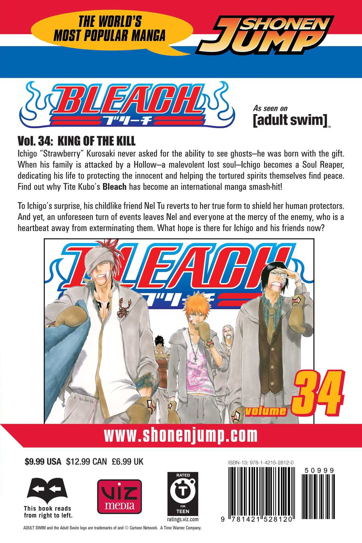 Bleach, Vol.34