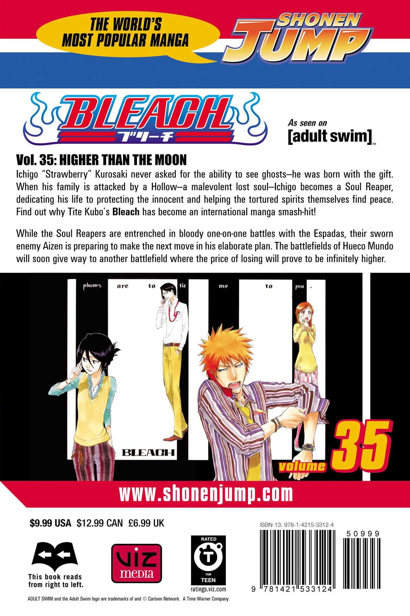 Bleach, Vol.35