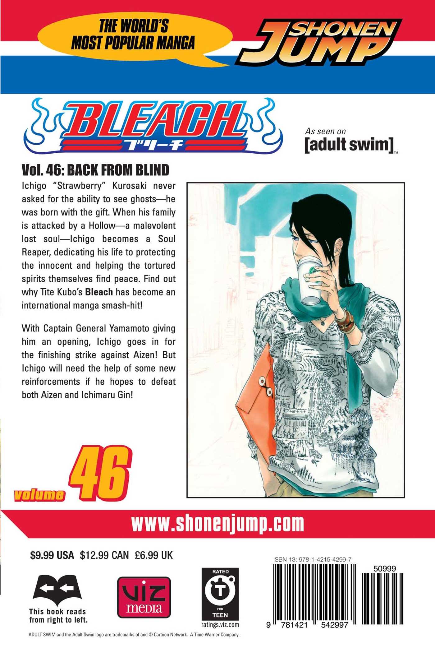 Bleach, Vol.46