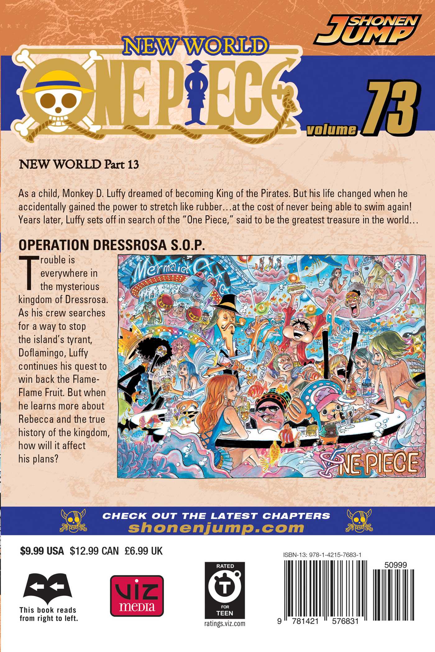 One Piece, Vol.73