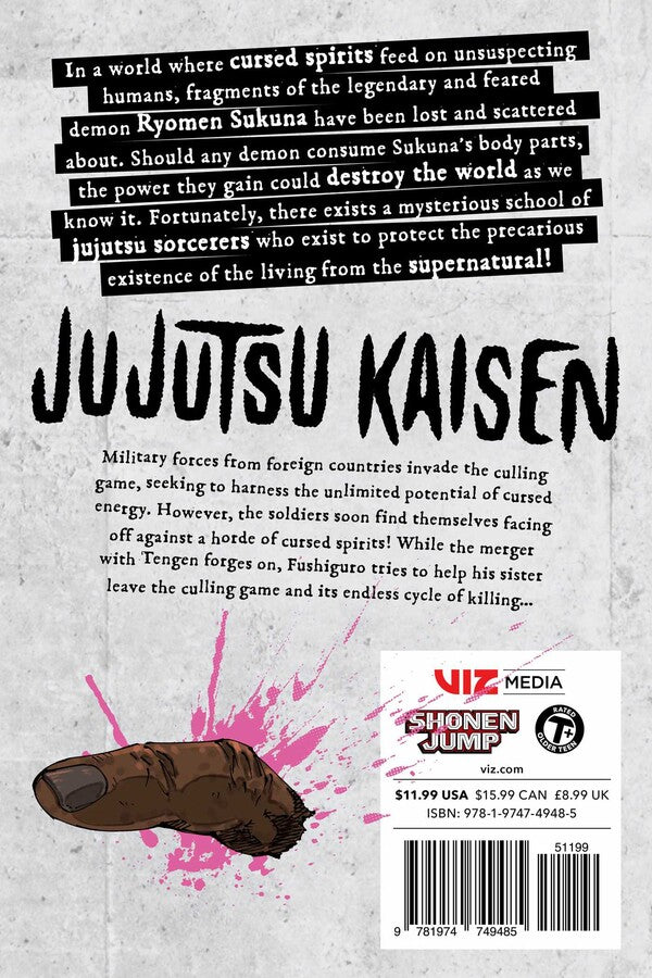 Jujutsu Kaisen, Vol. 24
