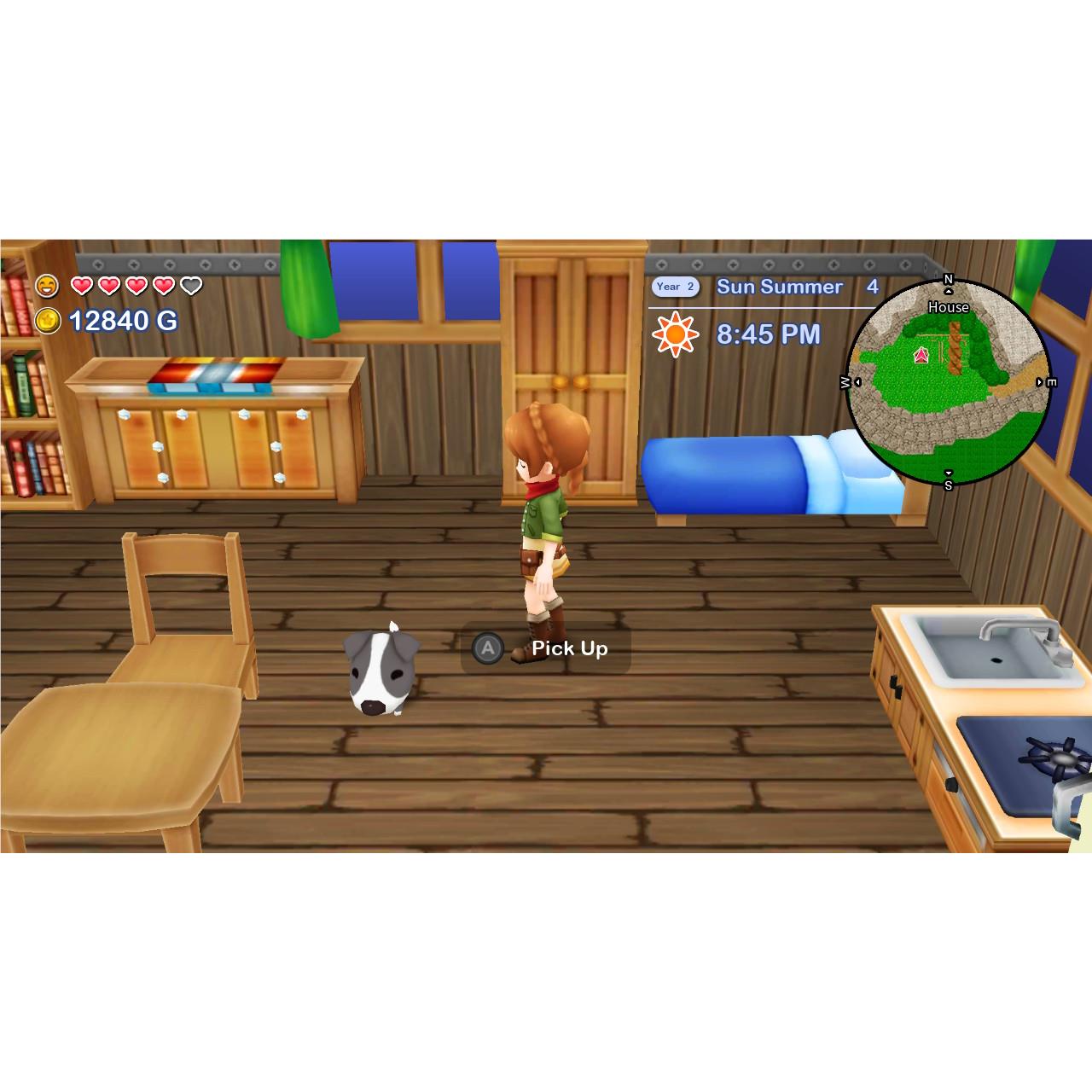 Harvest Moon: The Lost Valley & Skytree Village Double Pack