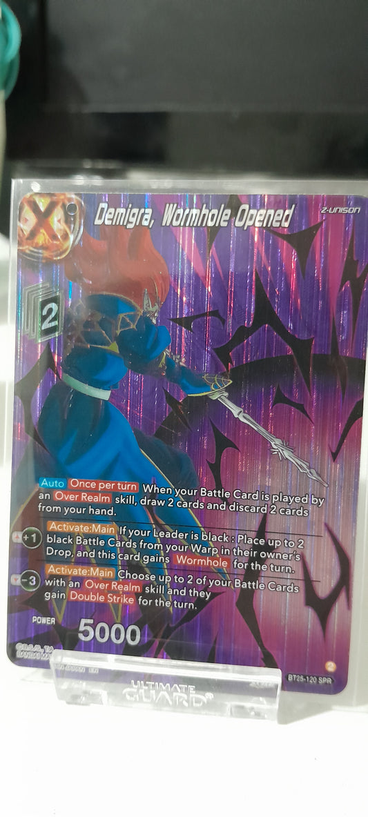 DEMIGRA SPR 2