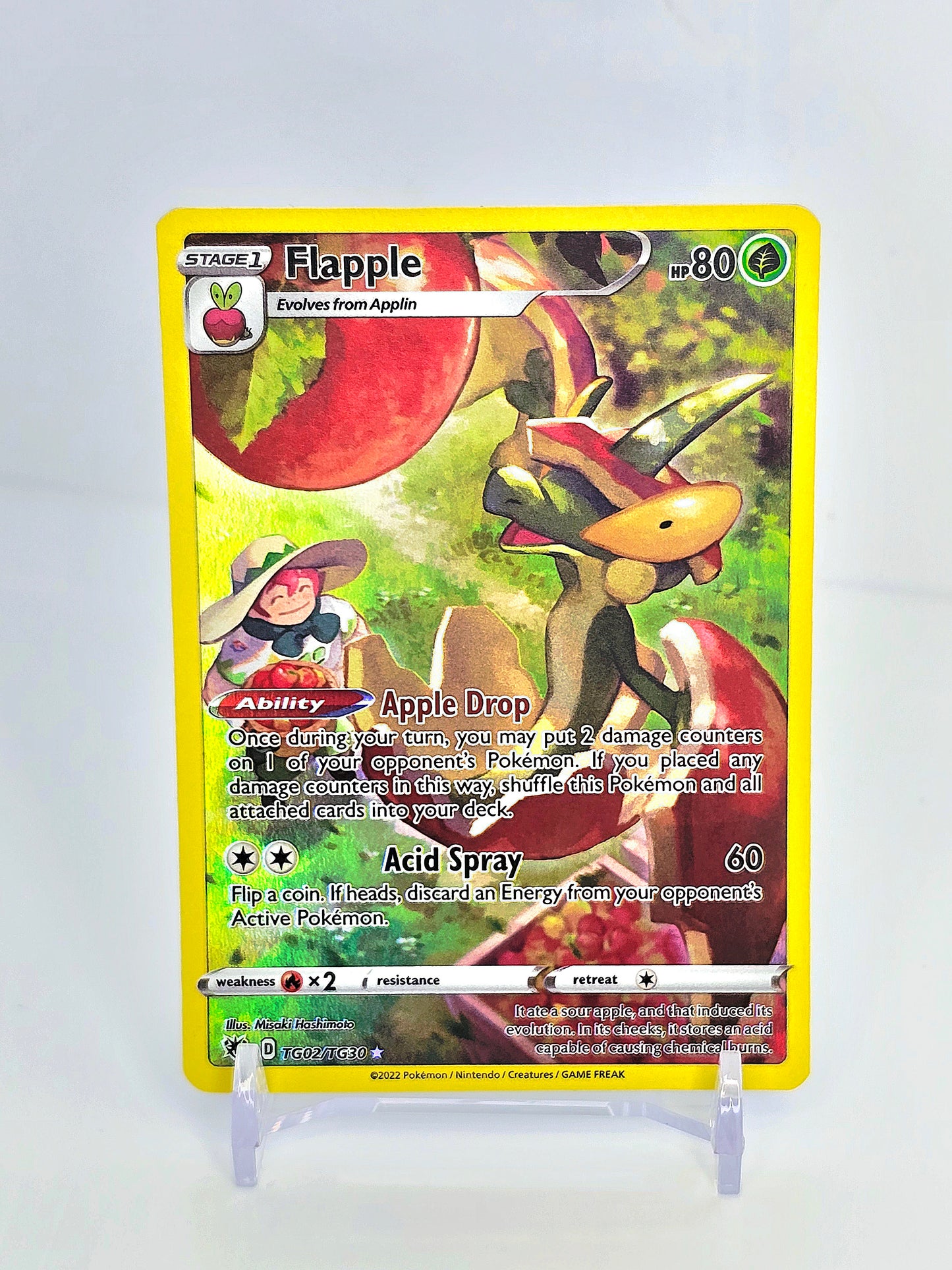 FLAPPLE TRAINER GALLERY