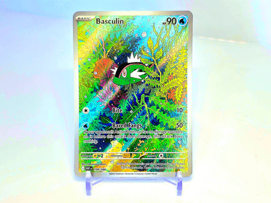 BASCULIN ILLUSTRATION RARE