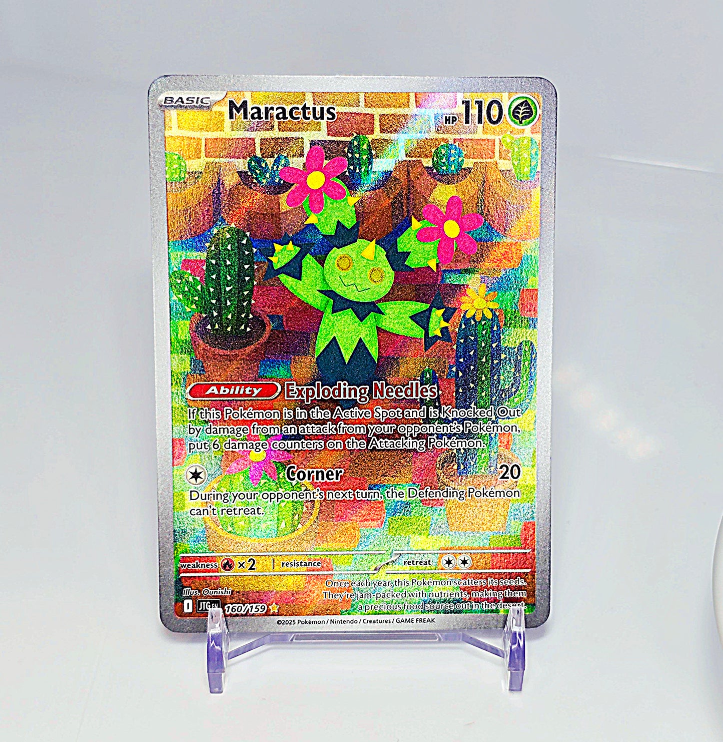 MARACTUS ILLUSTRATION RARE