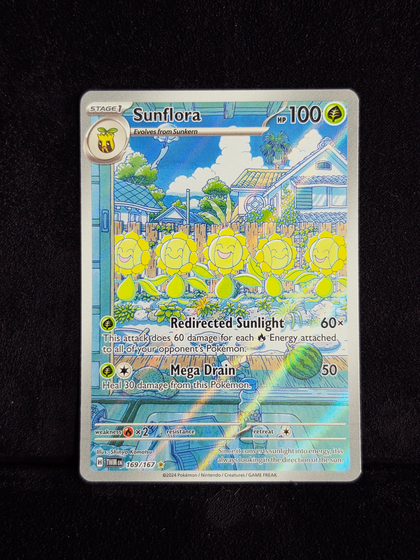 SUNFLORA ILLUSTRATION RARE
