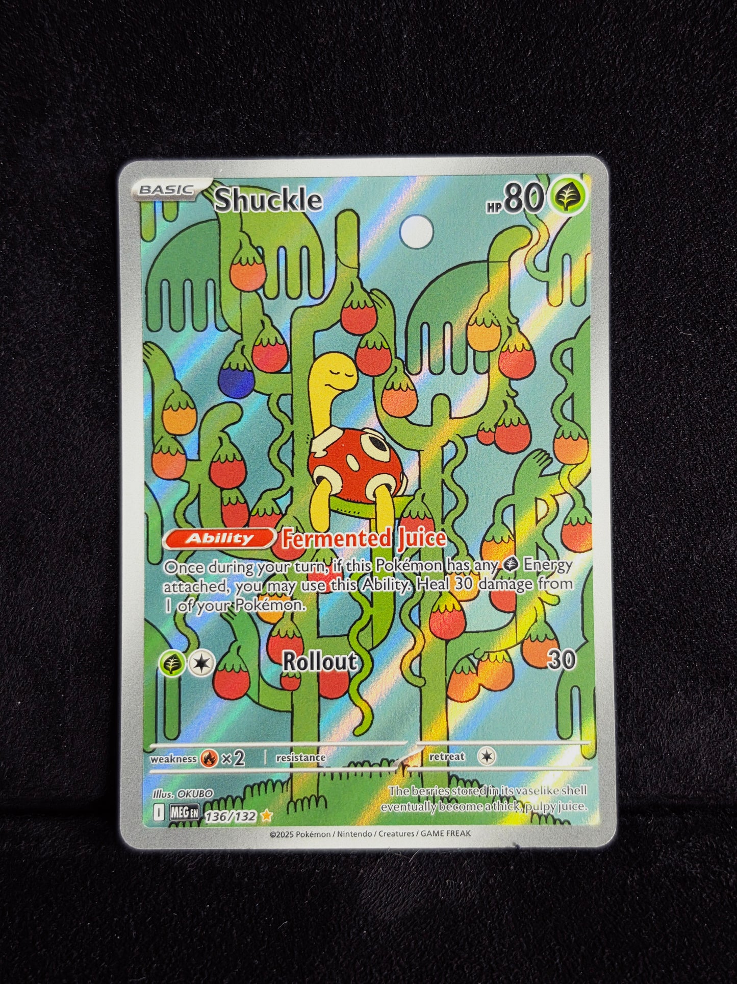 SHUCKLE ILLUSTRATION RARE