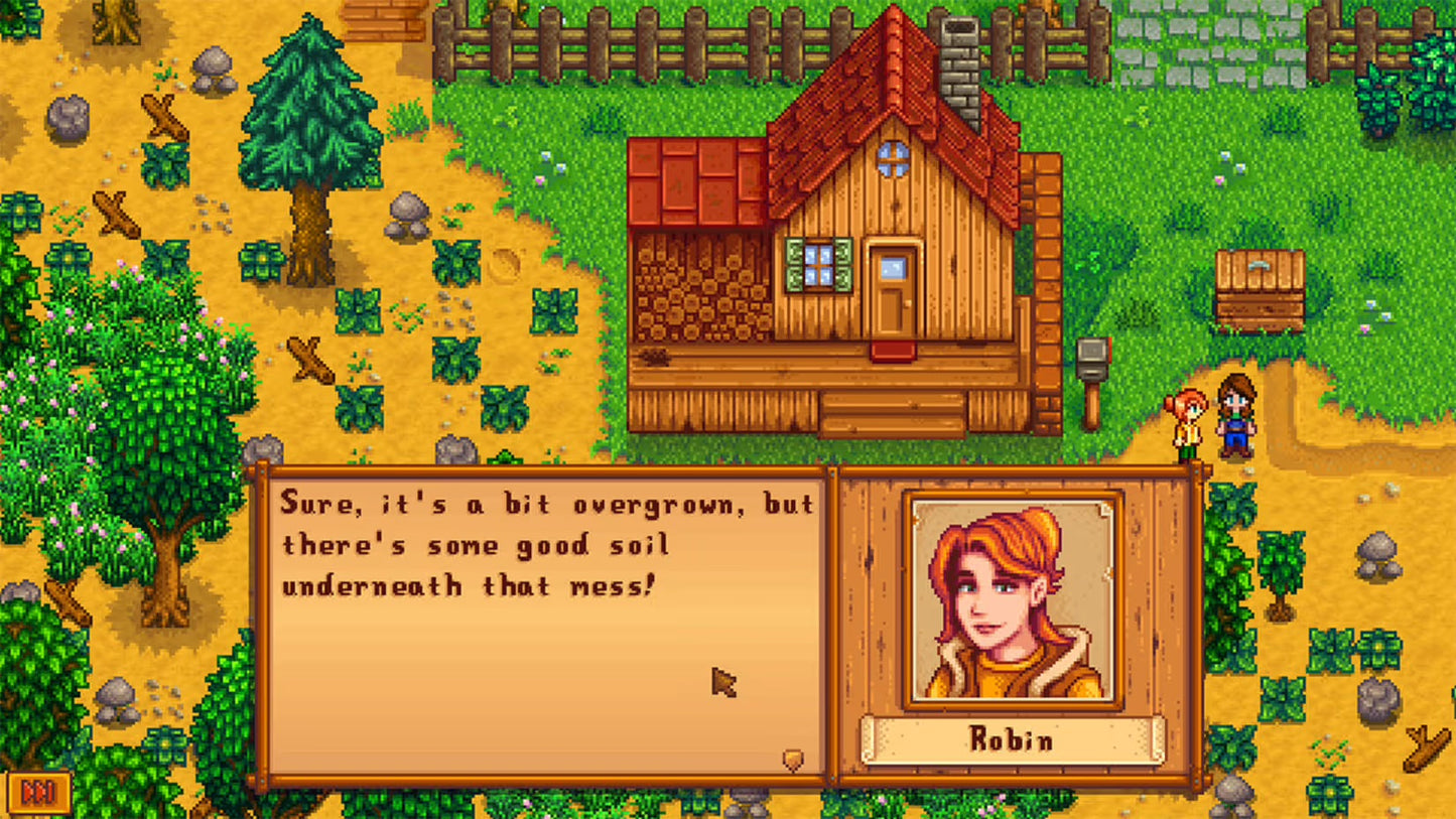 Stardew Valley Nintendo Switch 2 Edition