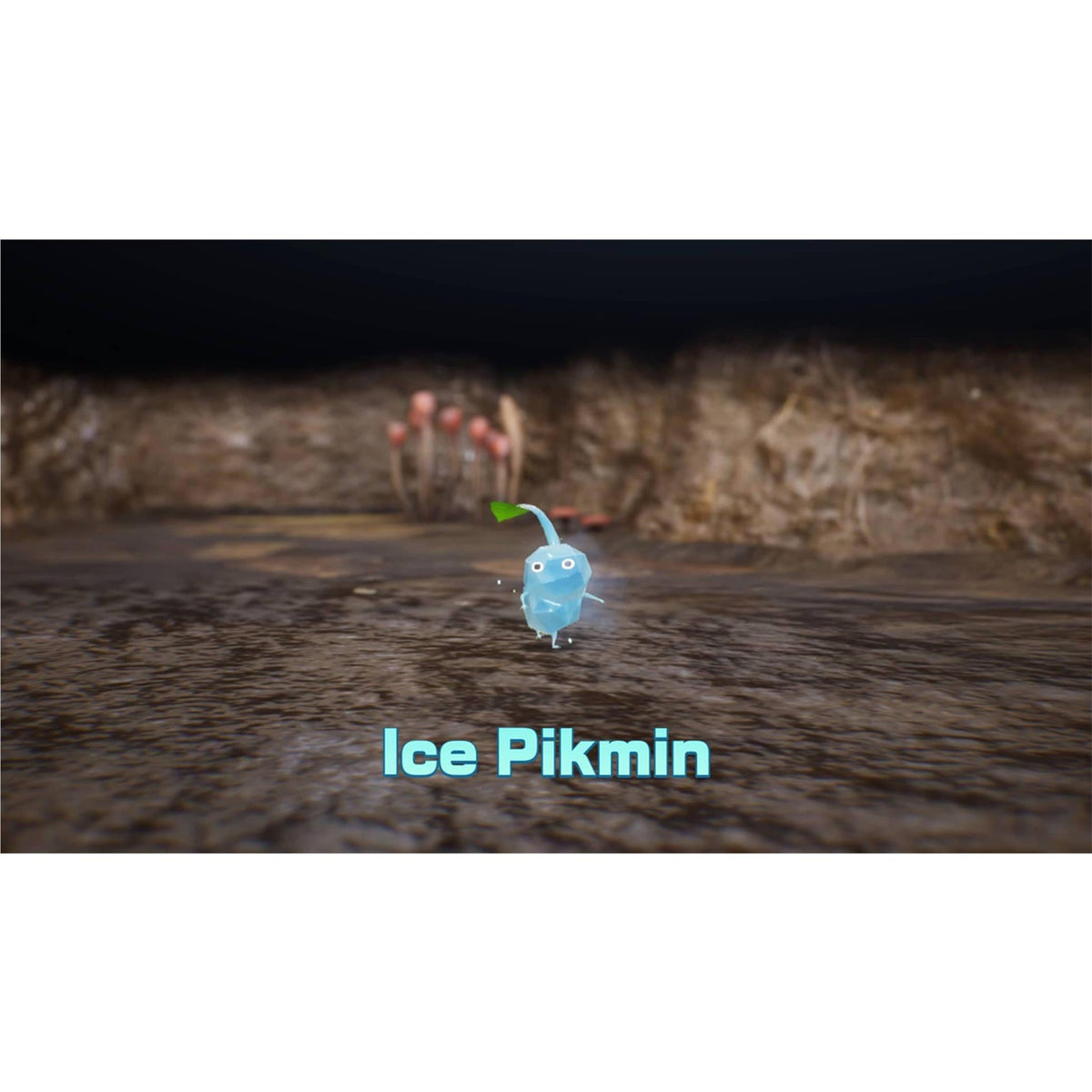 Pikmin 4 – Nintendo Switch 2 Edition + Dandori Academy