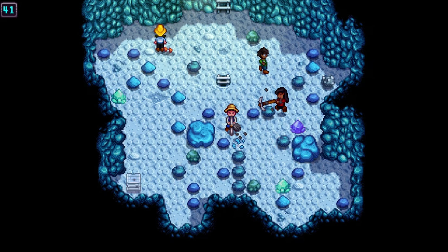 Stardew Valley Nintendo Switch 2 Edition