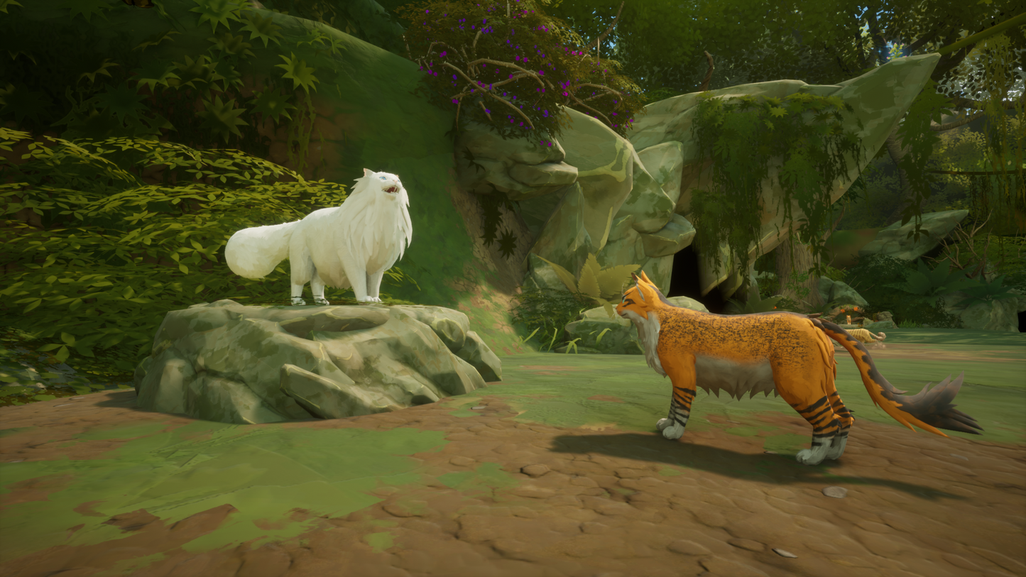 Warrior Cats Clans of the Forest Feral Edition