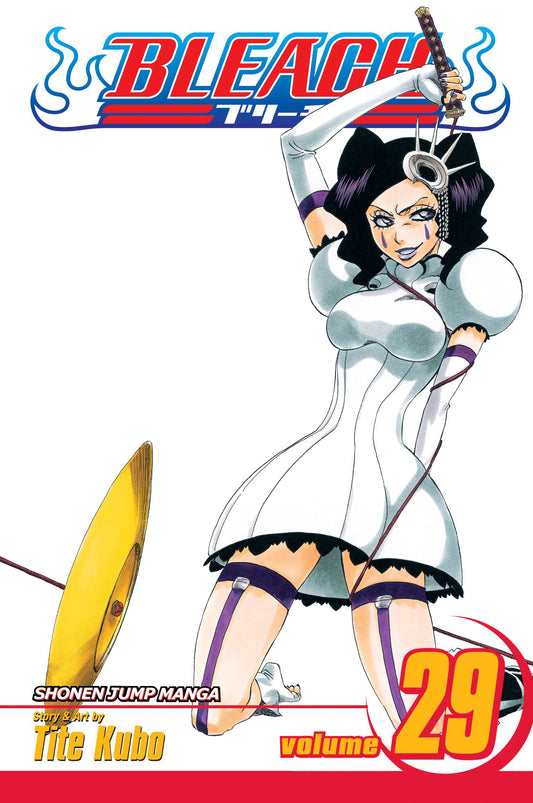Bleach, Vol.29