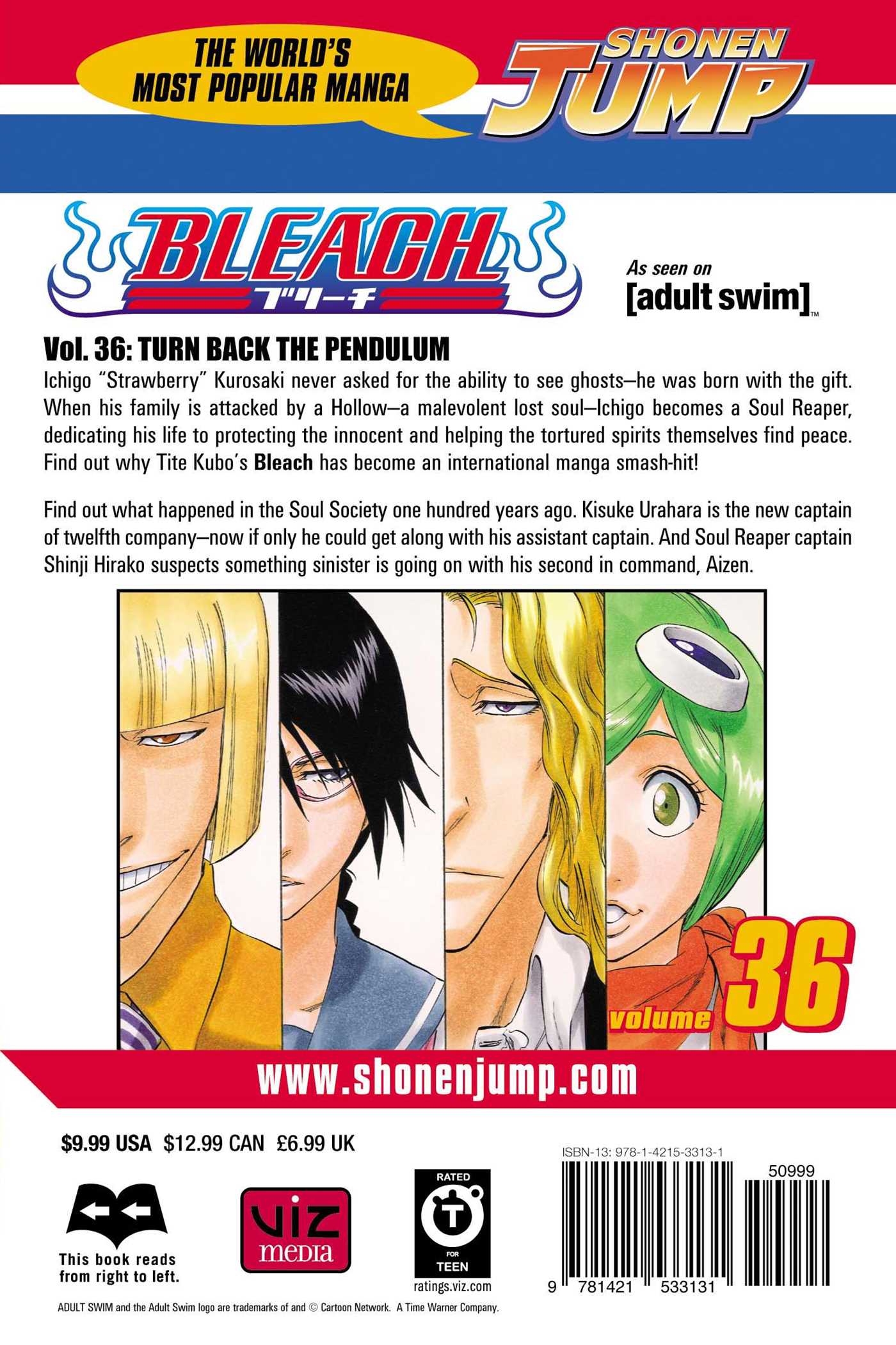 Bleach, Vol.36
