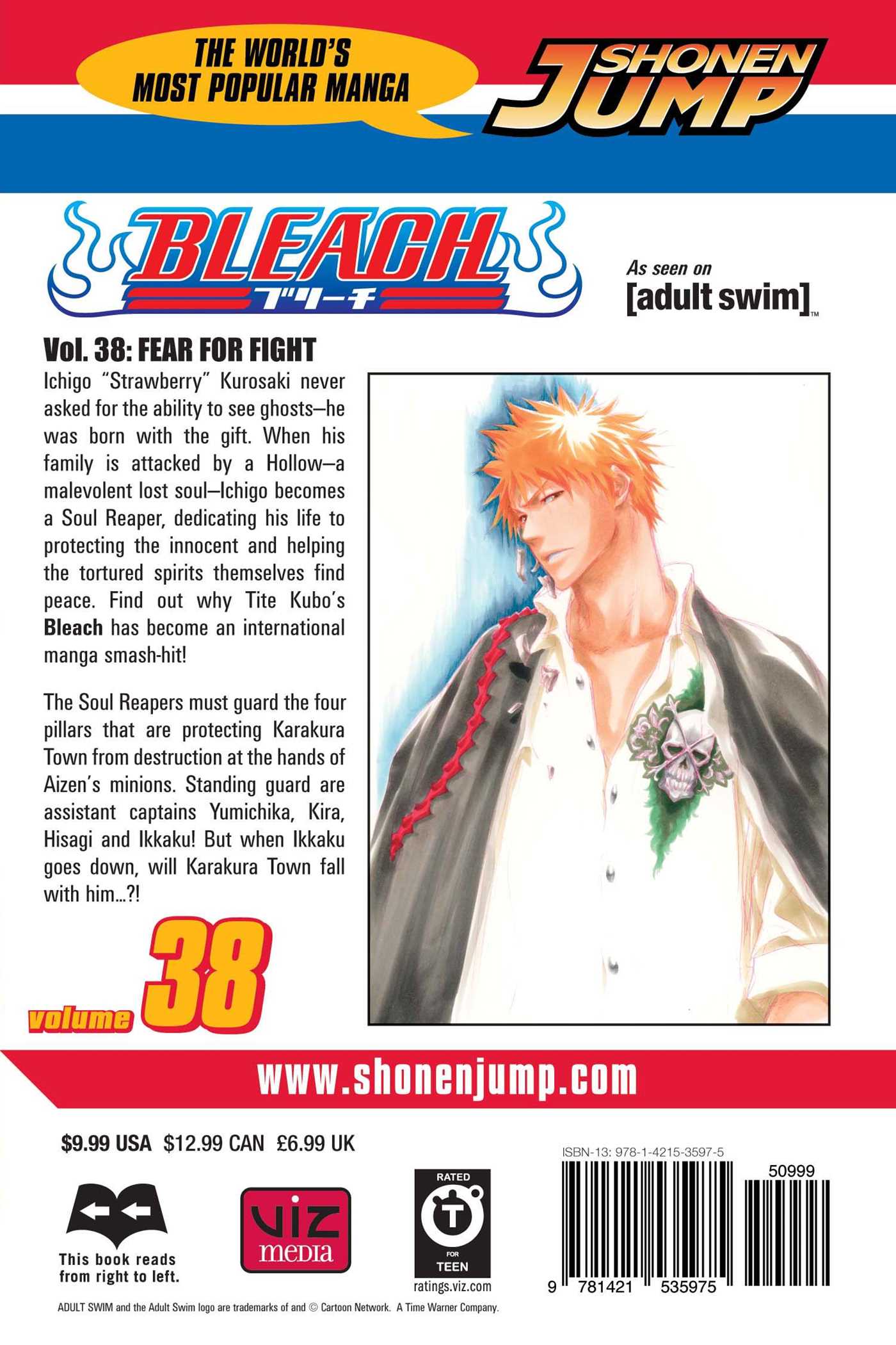 Bleach, Vol.38