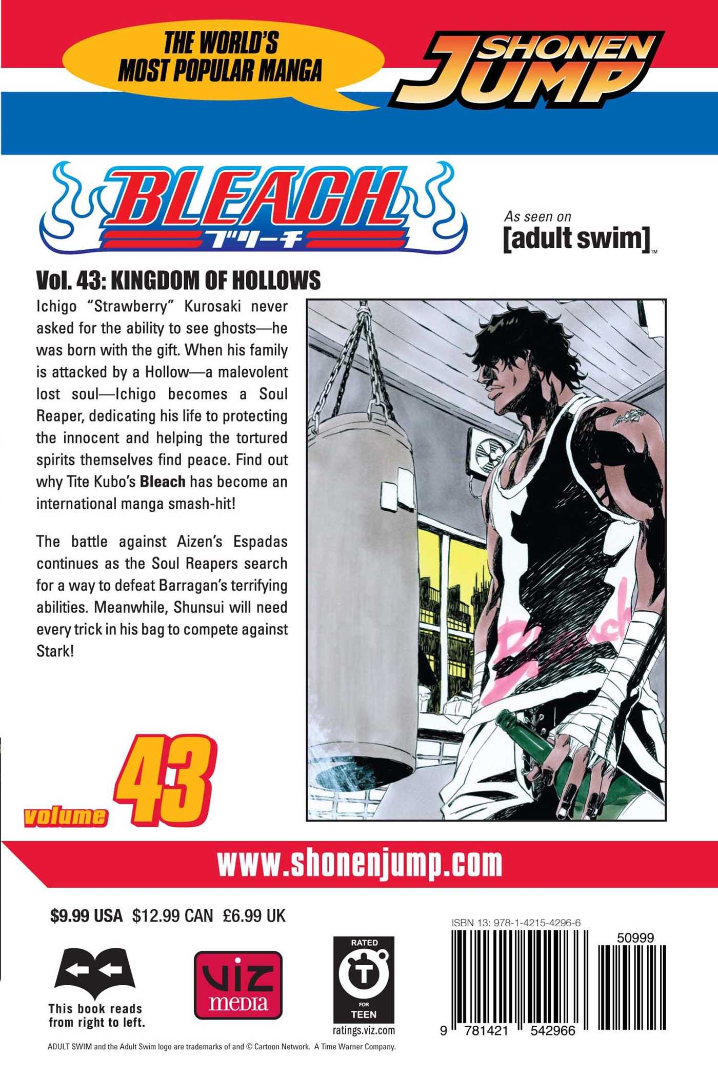 Bleach, Vol.43