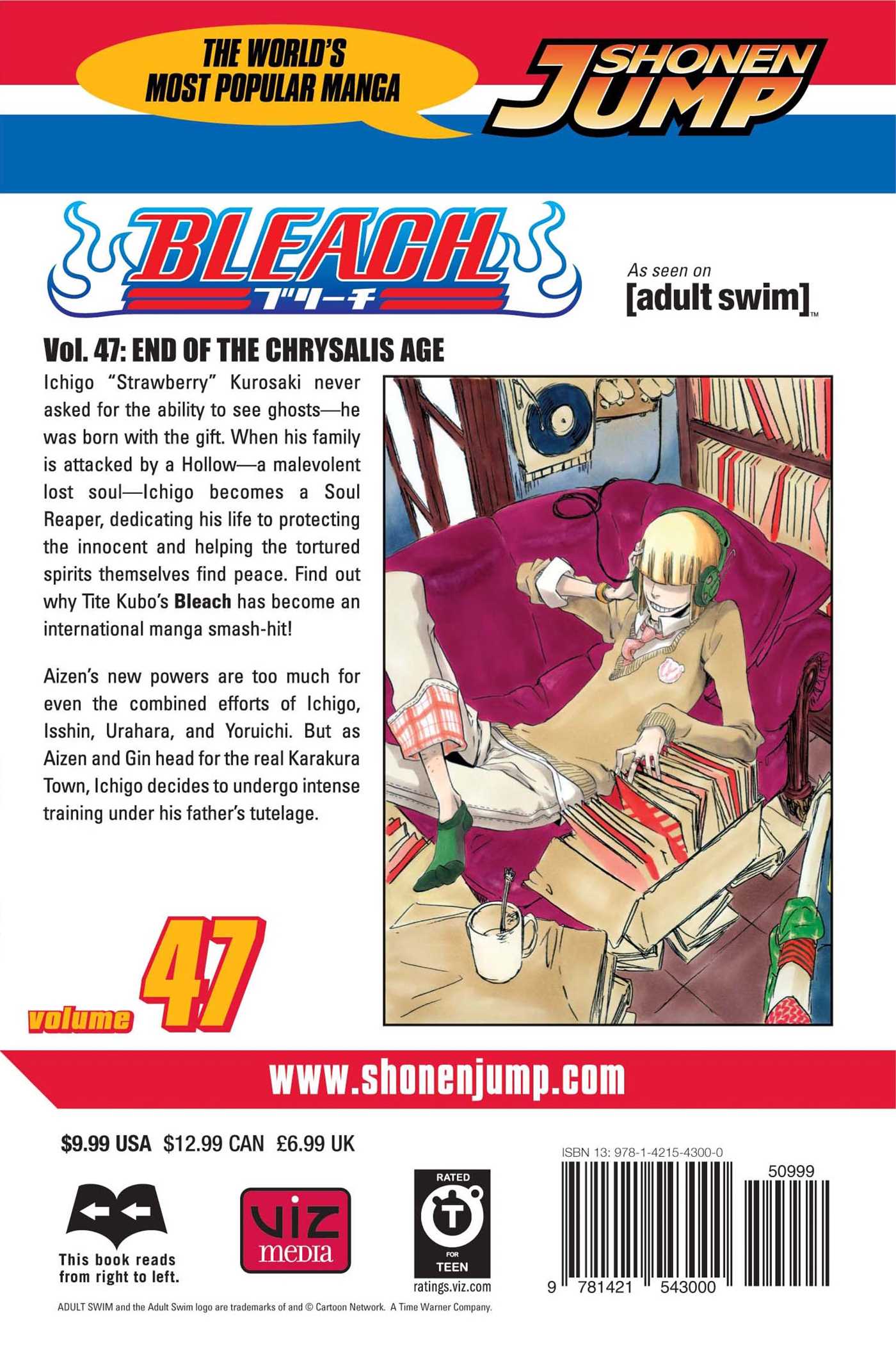 Bleach, Vol.47