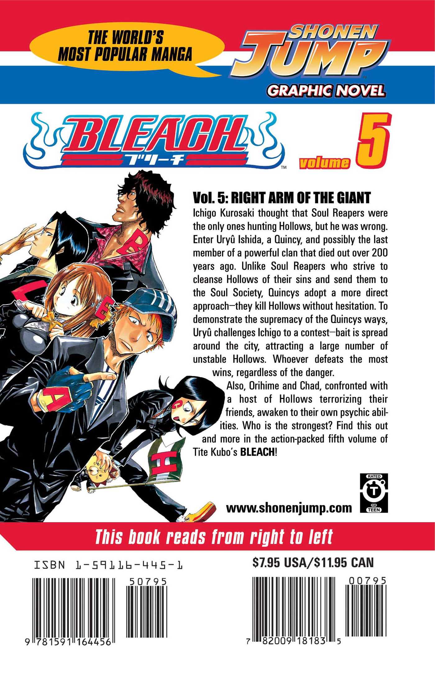 Bleach, Vol.05