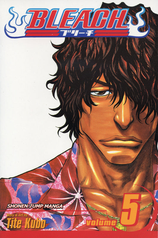 Bleach, Vol.05